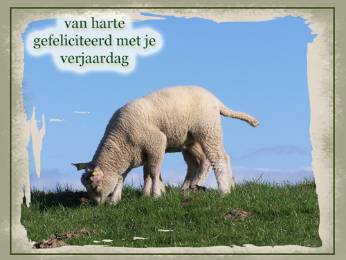 Klik voor een vergroting!