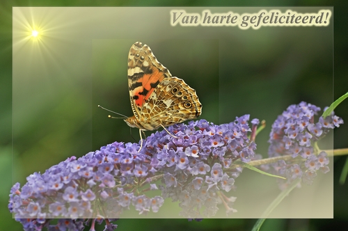 Klik voor een vergroting!