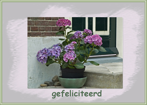 Klik voor een vergroting!