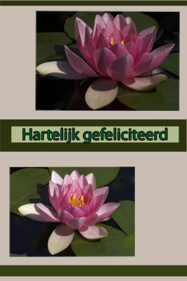 Klik voor een vergroting!