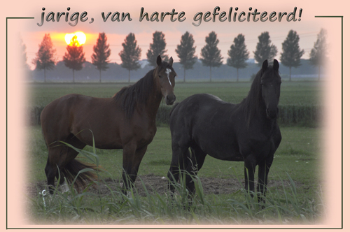 Klik voor een vergroting!
