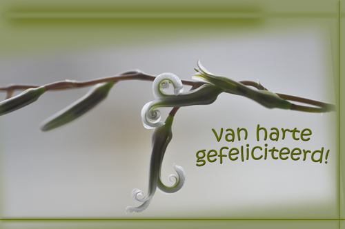 Klik voor een vergroting!