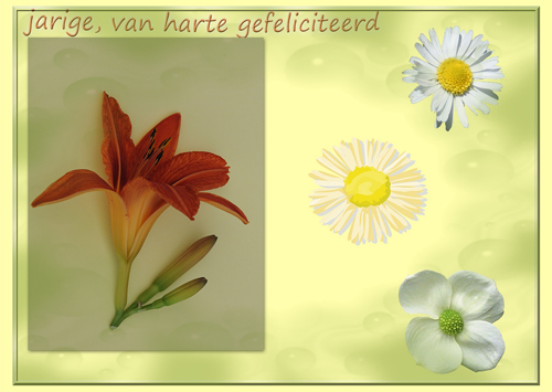 Klik voor een vergroting!