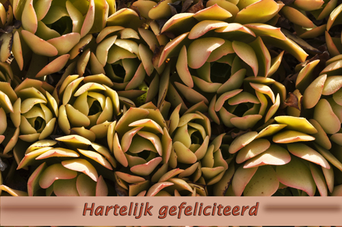 Klik voor een vergroting!