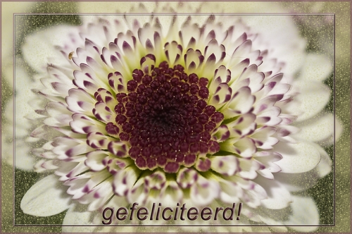 Klik voor een vergroting!