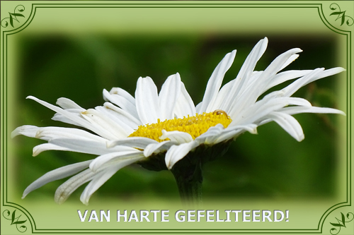 Klik voor een vergroting!