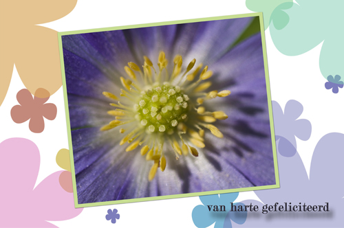Klik voor een vergroting!