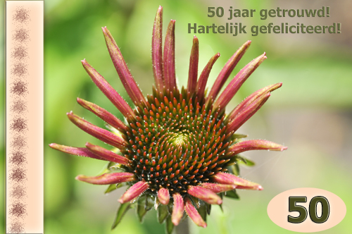 Klik voor een vergroting!