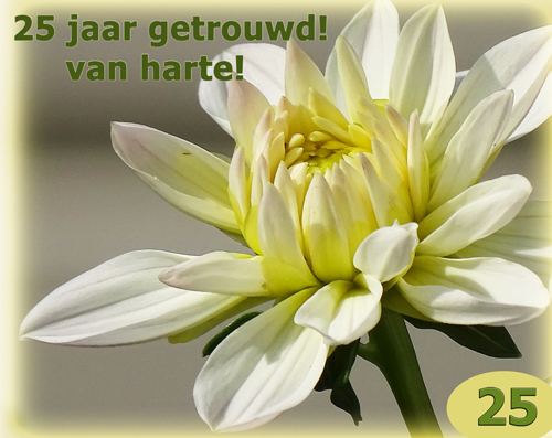 Klik voor een vergroting!