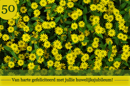 Klik voor een vergroting!