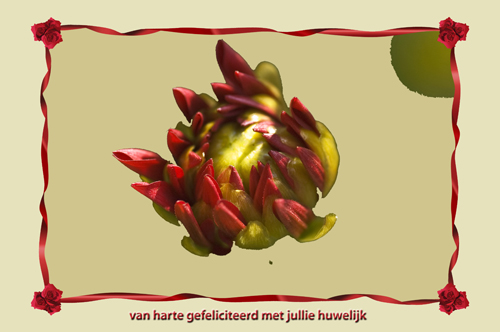 Klik voor een vergroting!