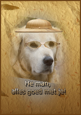 Klik voor een vergroting!