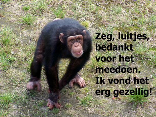 Klik voor een vergroting!