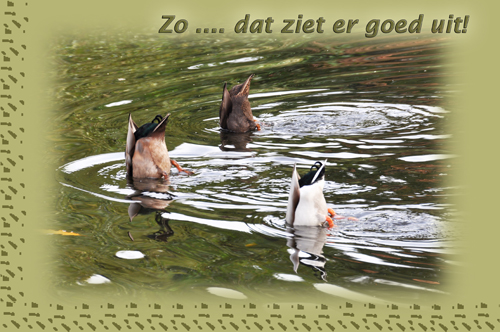 Klik voor een vergroting!