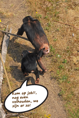 Klik voor een vergroting!