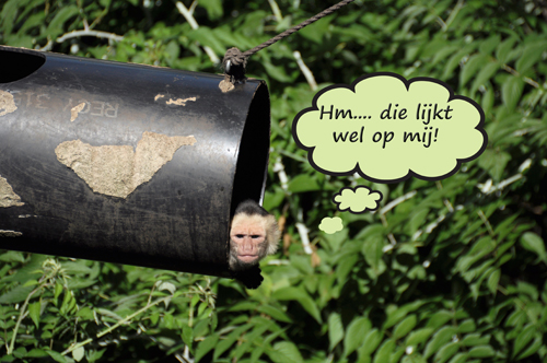 Klik voor een vergroting!