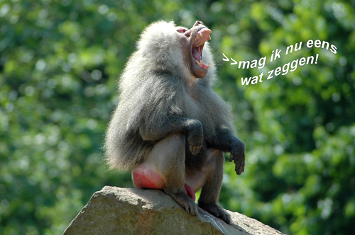 Klik voor een vergroting!