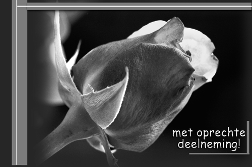 Klik voor een vergroting!