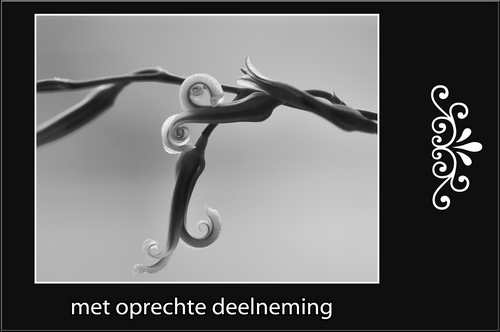 Klik voor een vergroting!