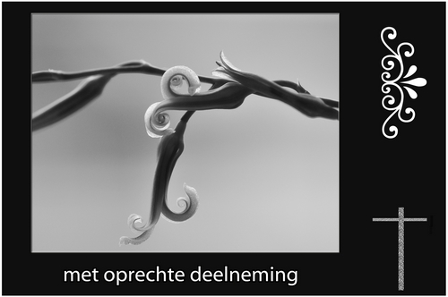Klik voor een vergroting!