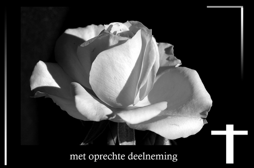 Klik voor een vergroting!