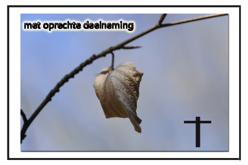 Klik voor een vergroting!
