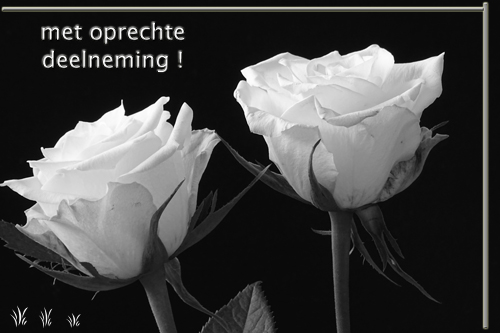 Klik voor een vergroting!
