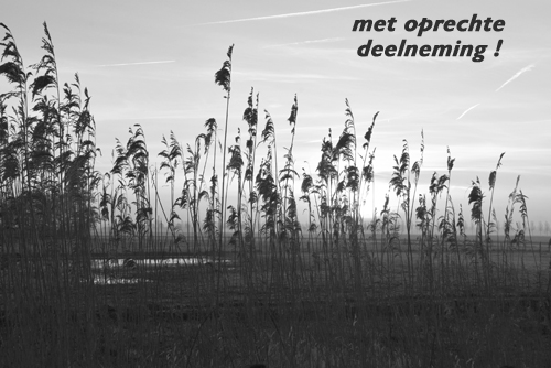 Klik voor een vergroting!