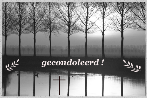 Klik voor een vergroting!