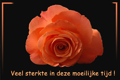 Klik voor een vergroting!