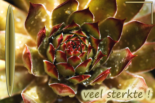 Klik voor een vergroting!