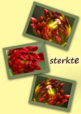 Klik voor een vergroting!