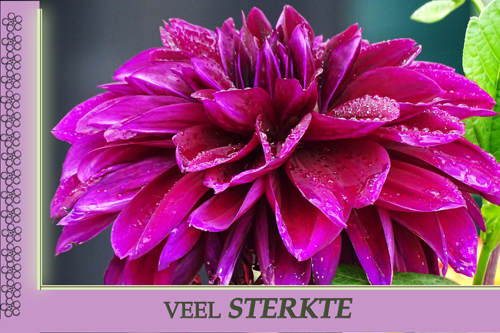 Klik voor een vergroting!