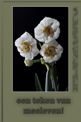 Klik voor een vergroting!
