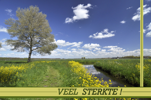 Klik voor een vergroting!